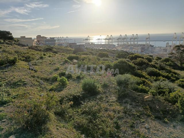 قطعة أرضية ملكية قرب ميناء طنجة المتوسط - 2