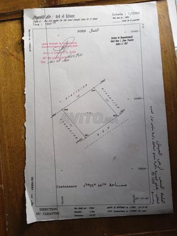 أرض فلاحية سيدي إسماعيل جهة الجديدة