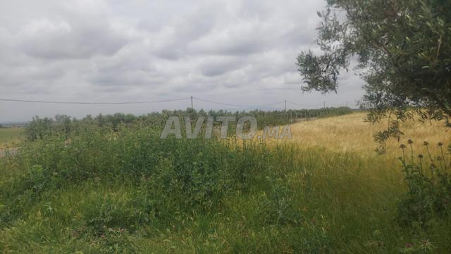 Ferme agricole de 16 hectares - 2