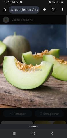 سويحلة للبيع 3 هكتارات في سيدي قاسم نهضة الزرارة