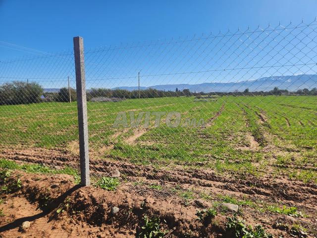 Terrain à vendre – Amzrou (près de Sidi Ghiat)