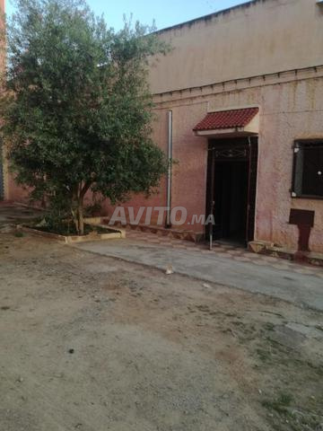 بقعتين أرضيتين متجاورتين للبيع بأحفير حي البام - 2