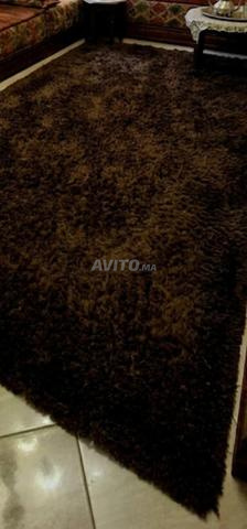 Tapis caniche pur - 2