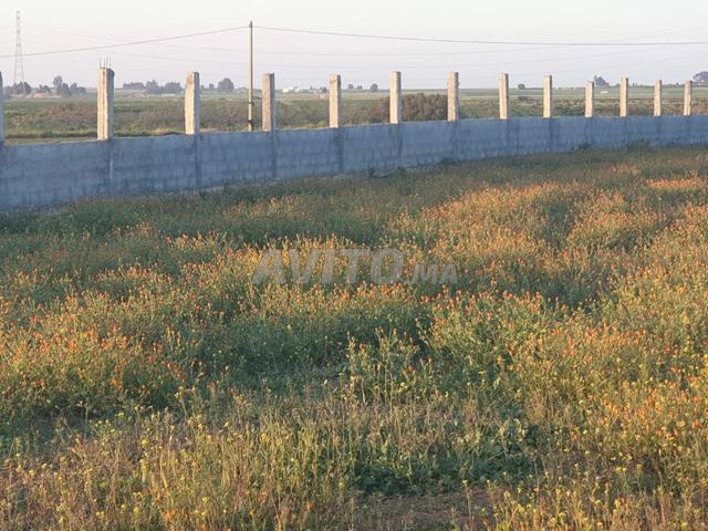 Terrain agricole - 2