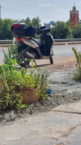 Keeway Logik 150cc avec moteur Sh Faracha - 2