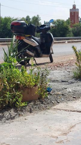 Keeway Logik 150cc avec moteur Sh Faracha - 2