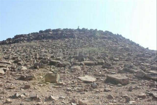 Terrain d'exception de 12 000 m² (1,2 Ha) - 2