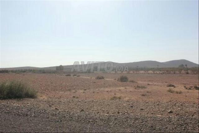TERRAIN DE 7 000 M² PROCHE MARRAKECH - 2