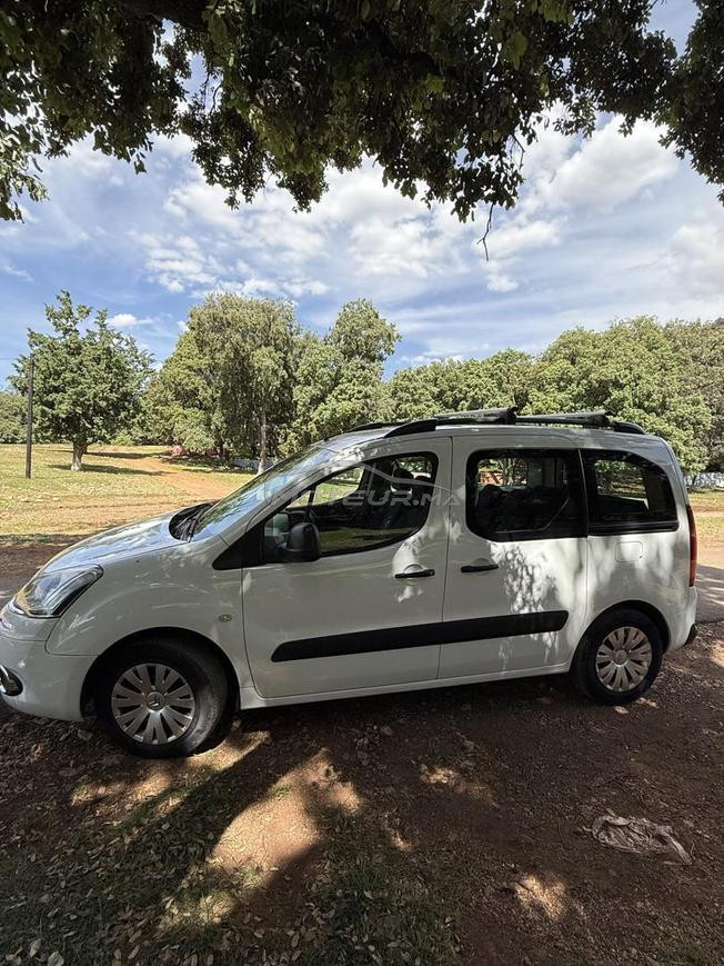     Citroën Berlingo Double Coulissante 