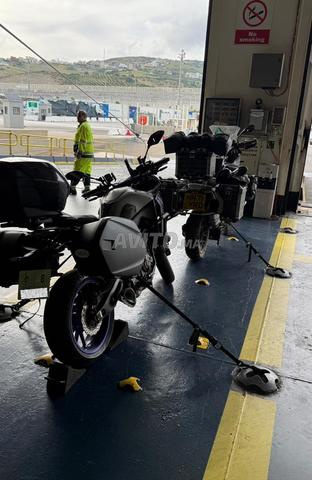 Tracer 09/2022, WW MAROC - 2