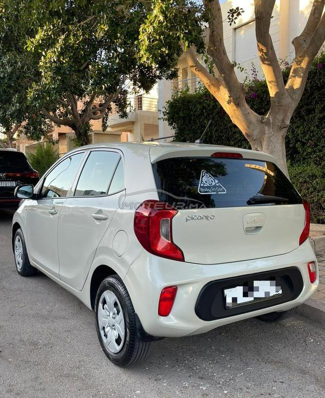 Kia Picanto Essence Manuelle 2023 à Agadir