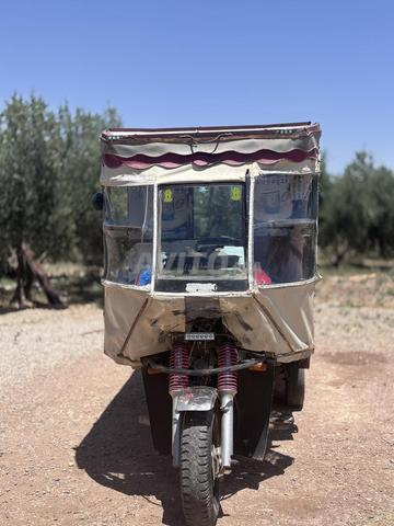 Triporteur modèle 2015 - 2