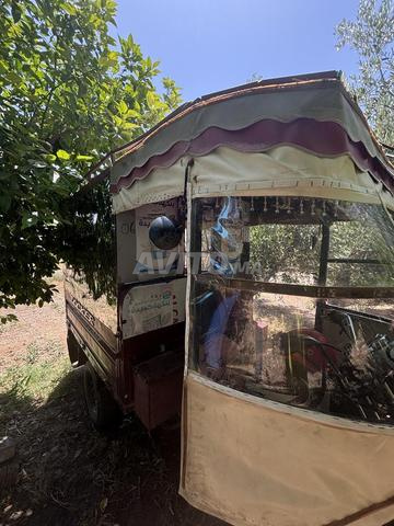 Tricycle modèle 2015 - 2