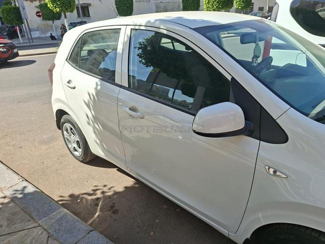 kia picanto blanche modele 2024 automatique 