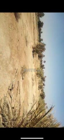 بستان للبيع بمدينة الريصاني - 2