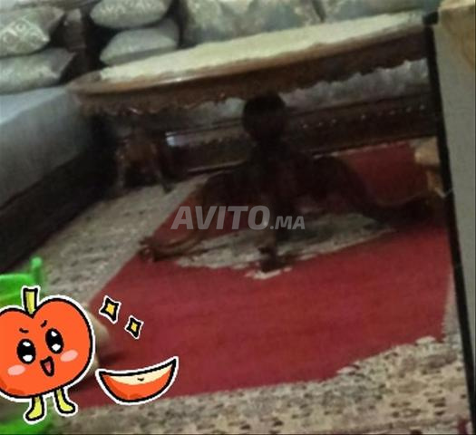 Tapis propre