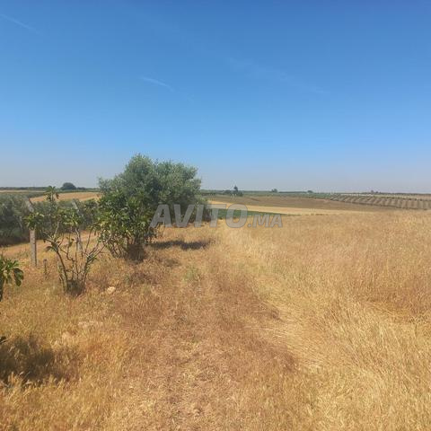 1 hectare et 2500m² opportunité - 2