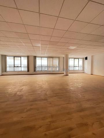 Bureaux Professionnels à Louer Casa (71-1000m²)