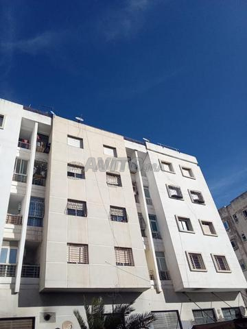 Bel Appartement 77 mètres en rez de chaussée - 2