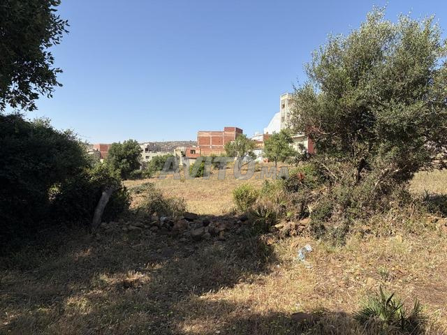 Terrain titré à louer — Gueznaia