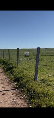 Hectare enregistré et titré à vendre - 2