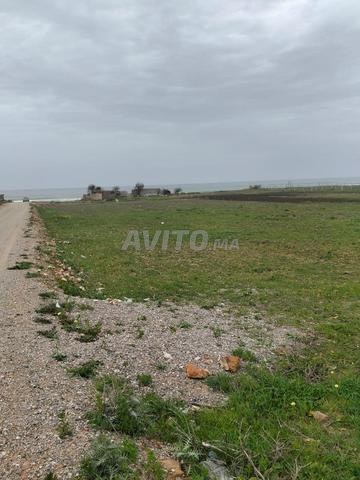 للبيع - أرض مسجلة على شاطئ البحر - 2