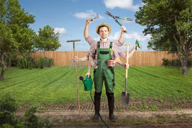 Jardinier gardien cherche travail بستاني حارس ٨