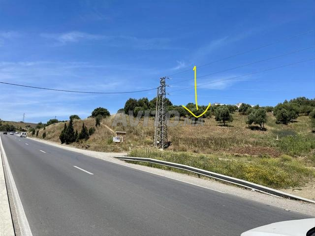 Terrain à côté de la nouvelle zone industrielle, route Ain El Hassen