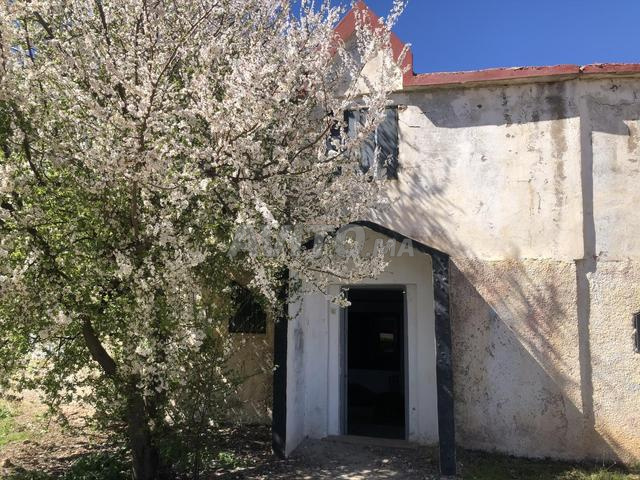 Opportunité Maison terrain 539m², proche route - 2