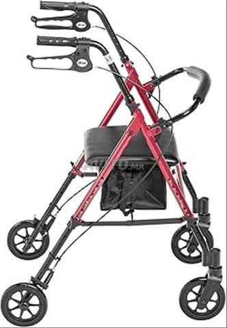 DÉAMBULATEUR PROFESSIONNEL