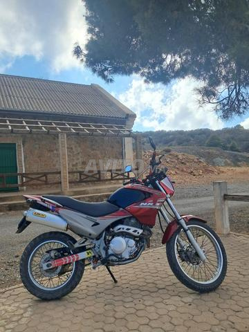 هوندا NX 400 سي سي - 2
