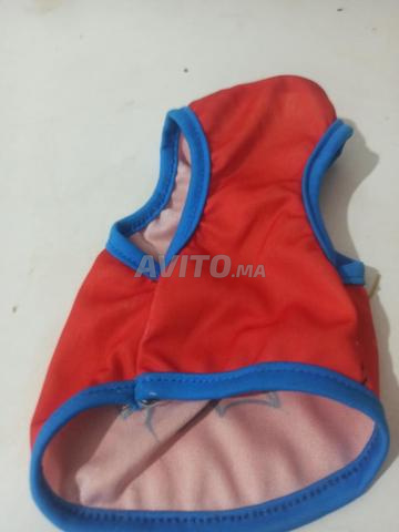 Vêtement pour chiots taille XS - 2