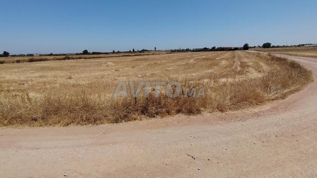 9400 m² titré à Benslimane