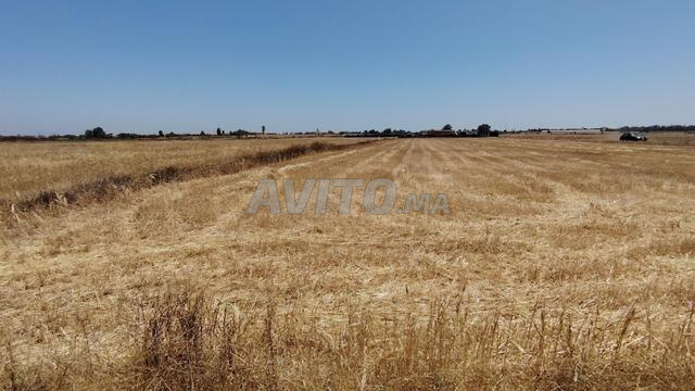 9400 متر مربع بأرض مسجلة ببنسليمان - 2