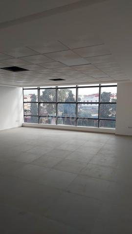📍 Plateau bureau à louer – 65 m² vendables - 2