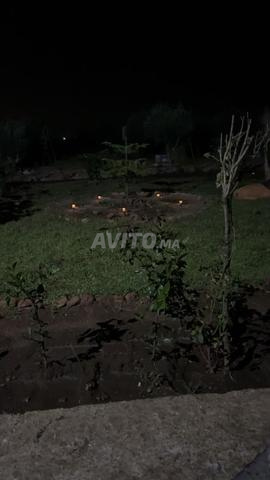مزرعة للبيع - 2
