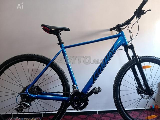 VTT 💯29 cadre XL grande - 2