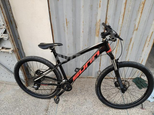 VTT Sunn Tox