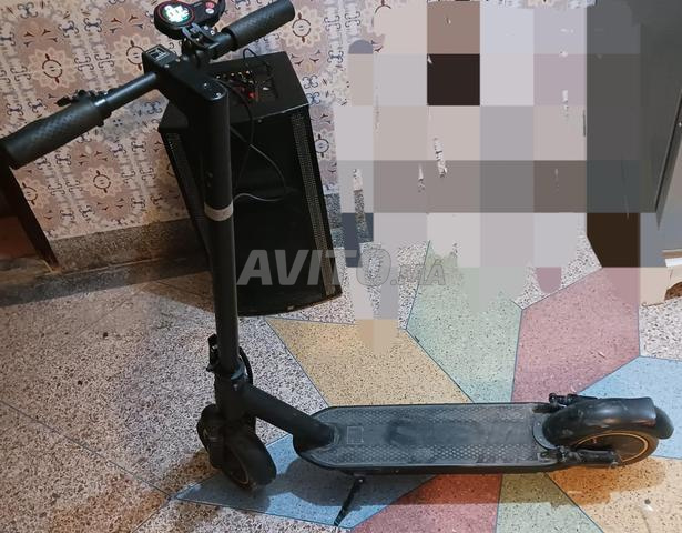 بريدتستستستستسنس
