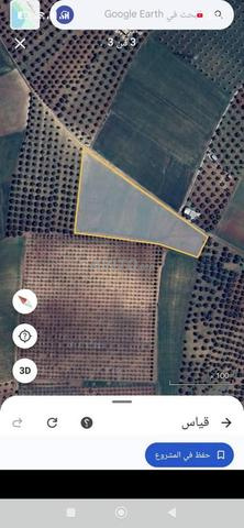 Hectare et demi à vendre titre - 2