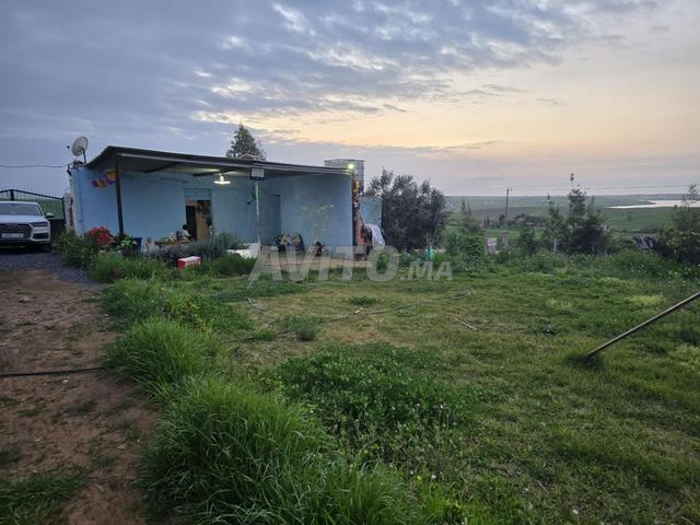Ferme titrée Ain ribaa à 15 min de Rabat
