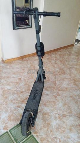 سكوتر إيكوستريم لينير - 2