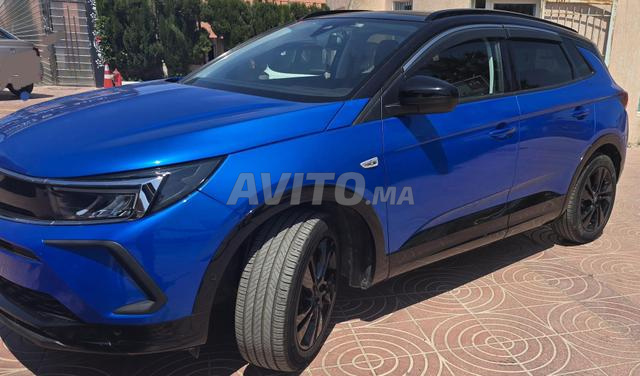 Opel Grandland garantie Opel - 2
