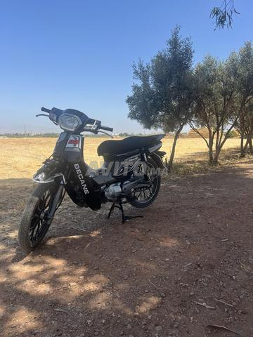33كوسان طويل - 2