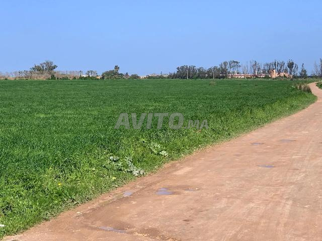 7 hectares à Had Soualem Tétouan Fonsi sur la route - 2