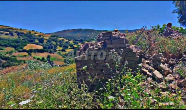 Terrain titré à vendre Ancien Marché Superficie 1800 mètres