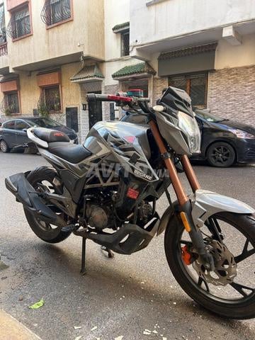 بيكان RVX - 2