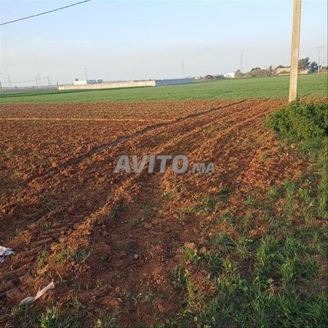 Terrains titrés pour construire une résidence avec vue sur la mer de Sidi Rahal - 2