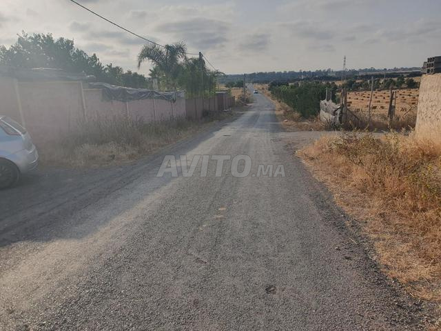 جماعة الصباح - 2