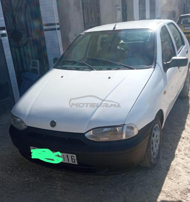 طنجة كزناية